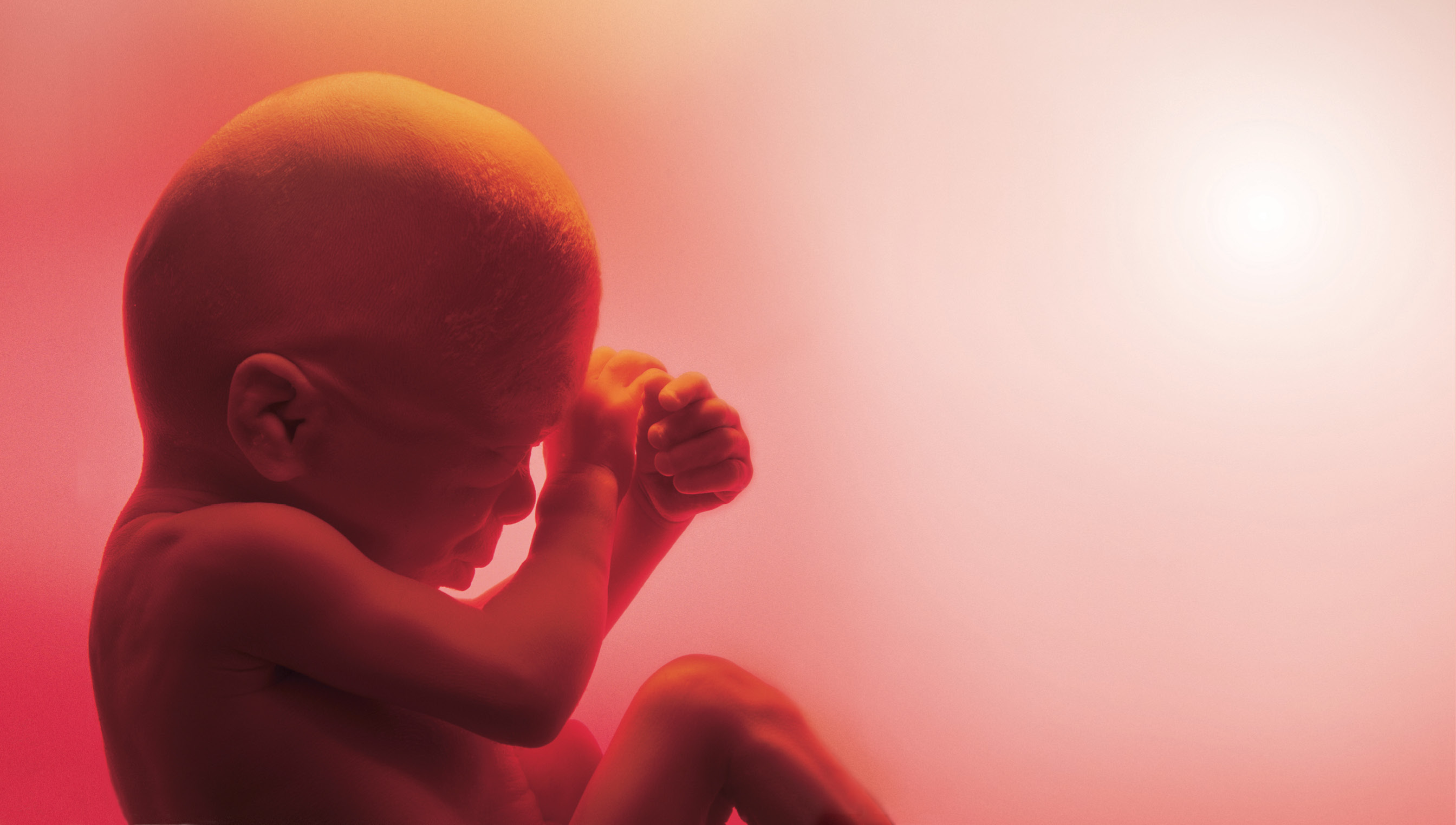 O mist&eacute;rio da vida