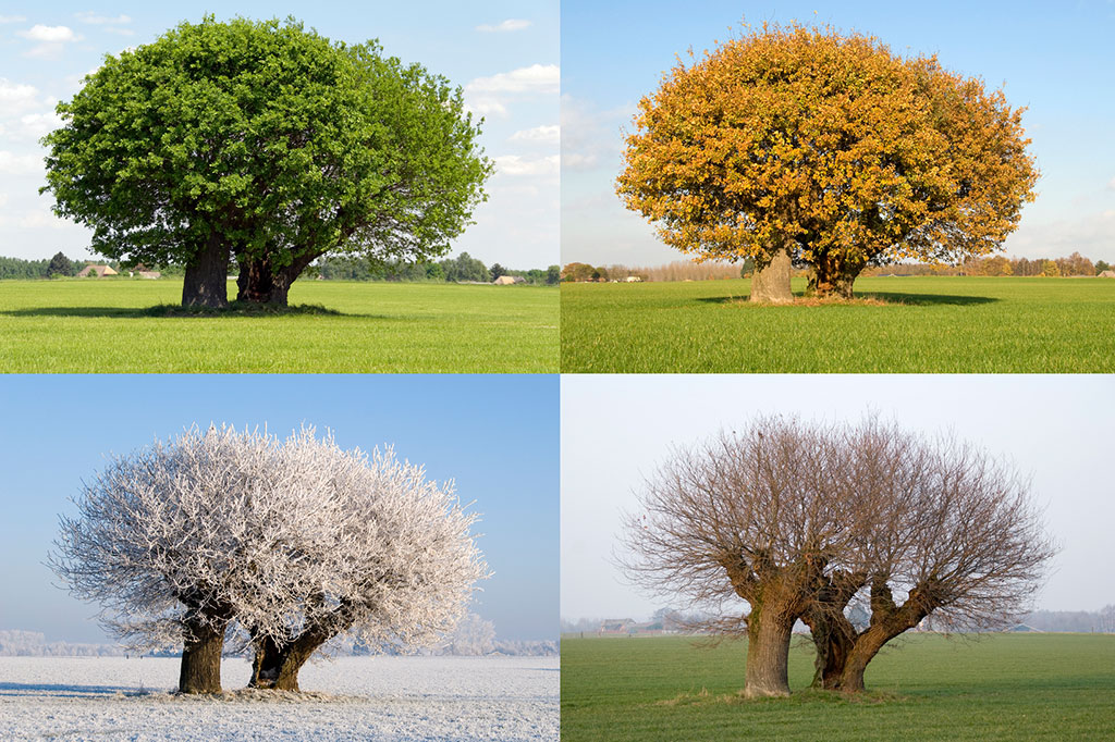 E se… não houvesse estações?