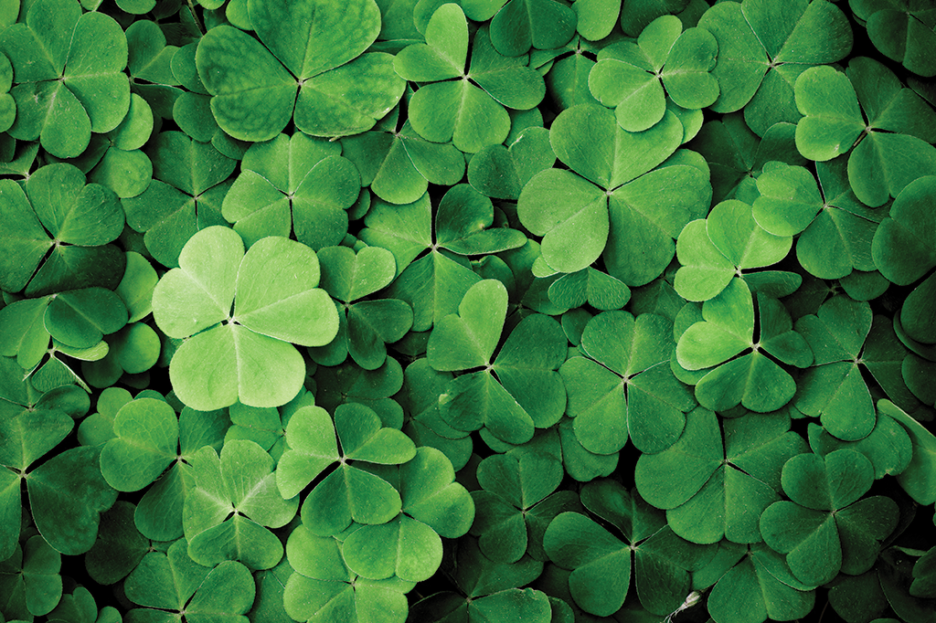 Sorte: como controlar a sua