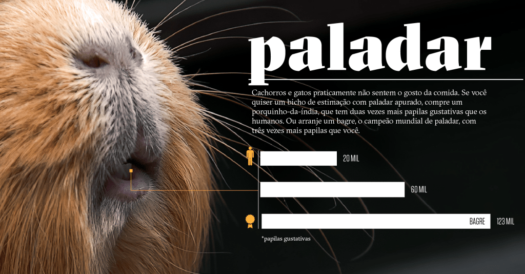 Como os animais realmente enxergam o mundo: paladar Como os animais realmente enxergam o mundo: paladar