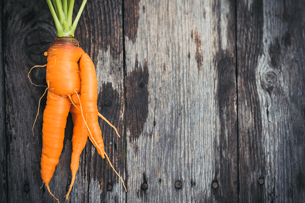 Deveria ser ilegal desperdiçar comida?