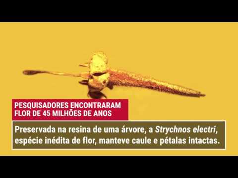3 notícias de ciência que marcaram a semana