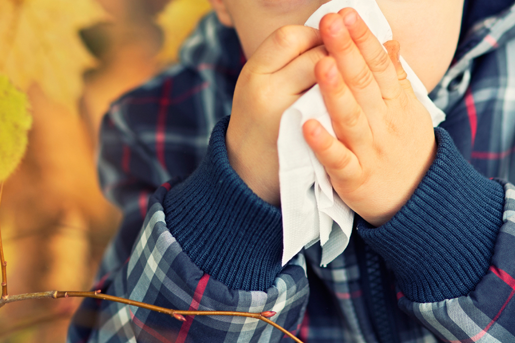 Suas alergias dependem da estação do ano em que você nasceu