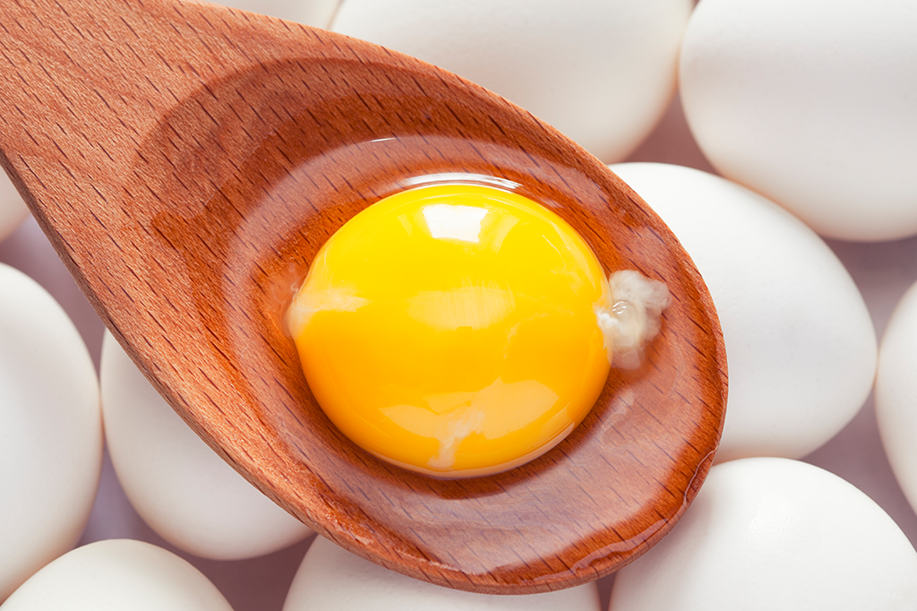 O que é aquela substância branca esquisita na gema do ovo?
