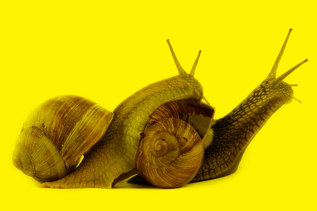 Pornô em slow motion existe — e está bombando