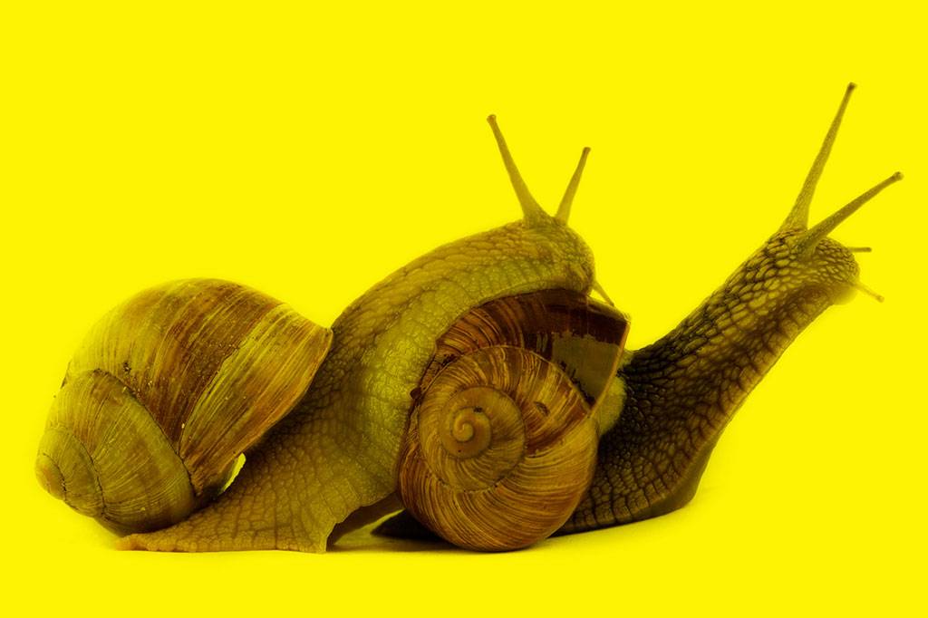 Pornô em slow motion existe — e está bombando