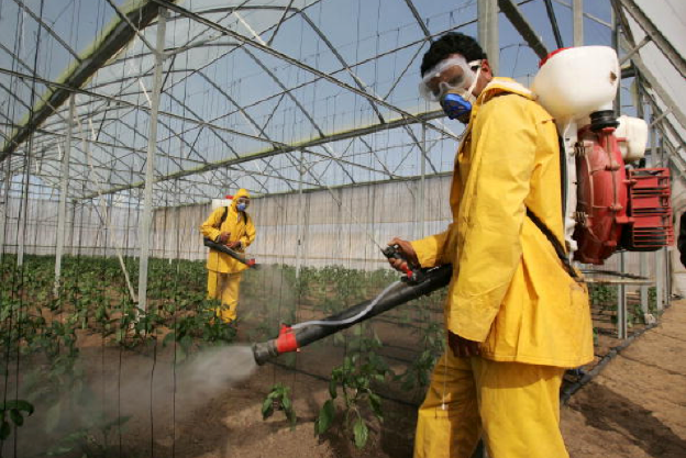 Cuidado, você está sendo envenenado (mas não do jeito que você imagina)