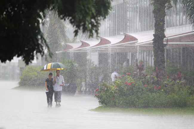 Água da chuva é potável?