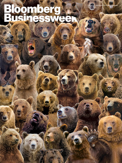 Bears Bears