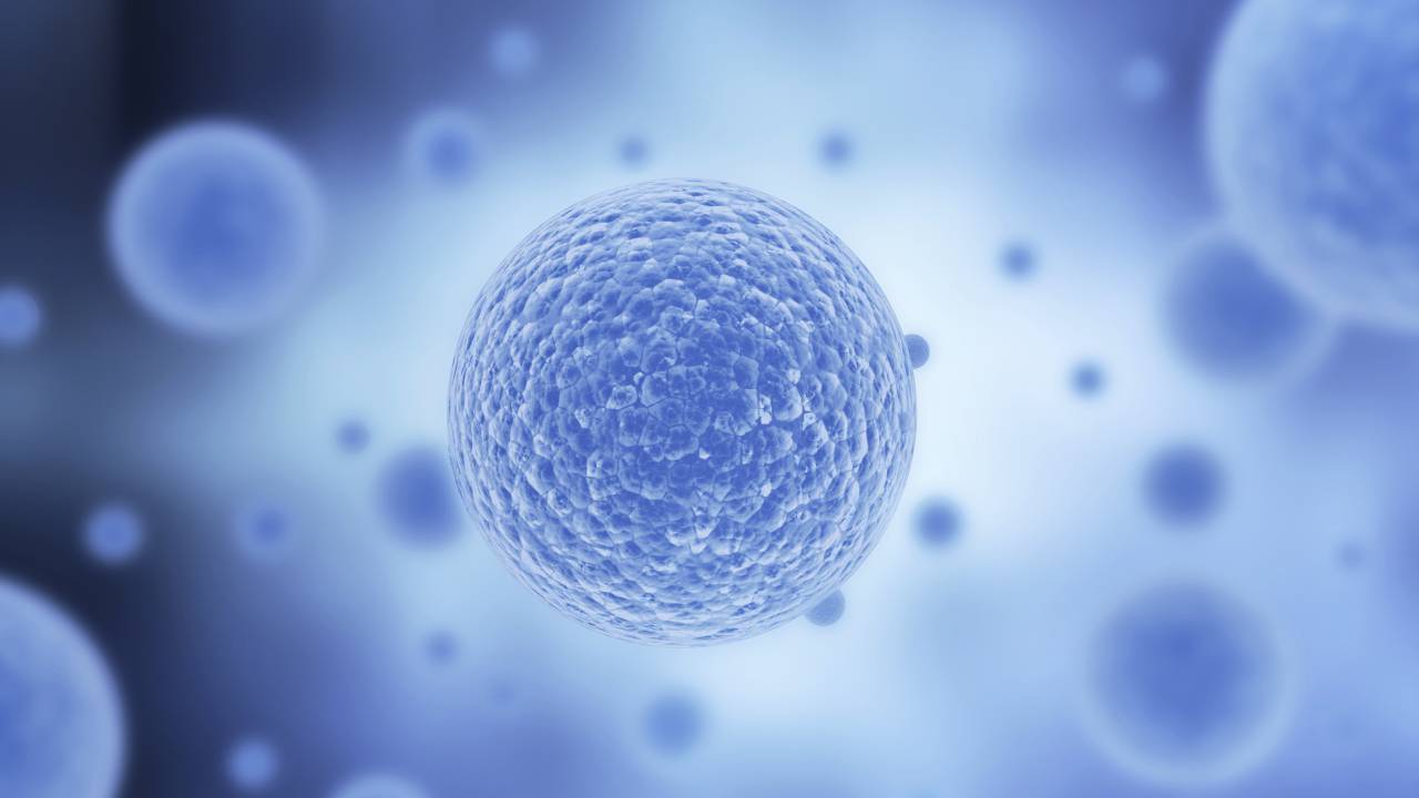 Jezperklauzen | Thinkstock