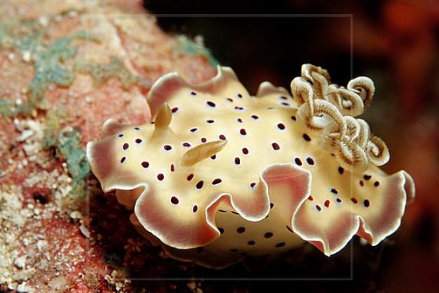 Pra quem não sabe: quando uma fita cassete bugava assim, a gente tinha que usar um lápis para enrolar a fita de volta. Mas os stormtroopers estão #chateados porque o lápis está em um armário escrito "Só para mestres jedi" :( Pra quem não sabe: quando uma fita cassete bugava assim, a gente tinha que usar um lápis para enrolar a fita de volta. Mas os stormtroopers estão #chateados porque o lápis está em um armário escrito "Só para mestres jedi" :(