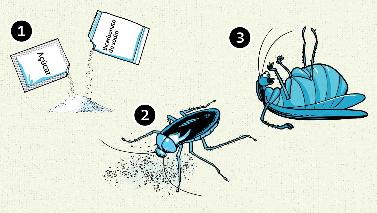 Como matar insetos