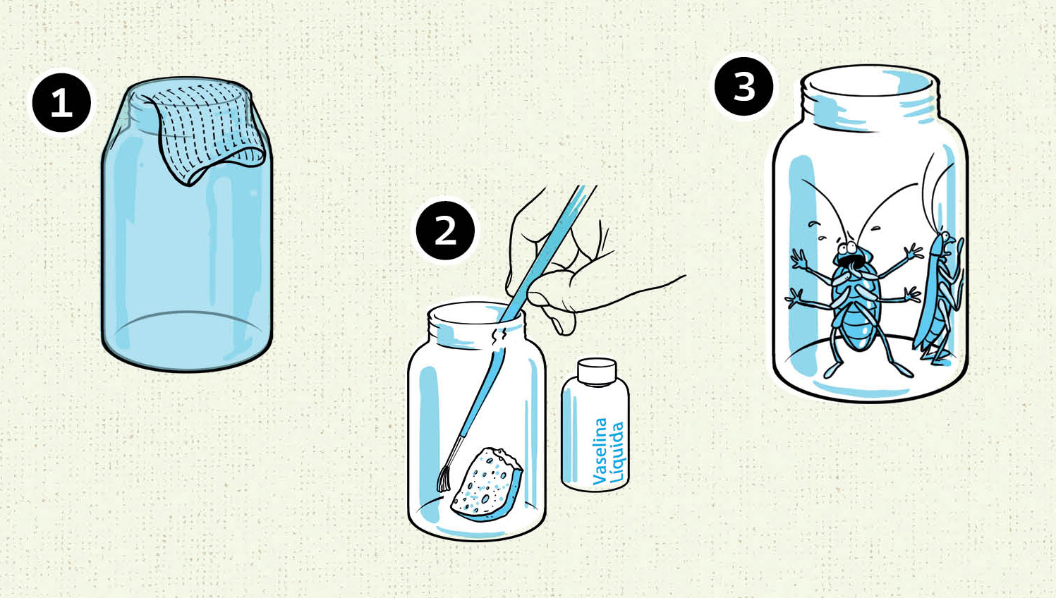 Como matar insetos