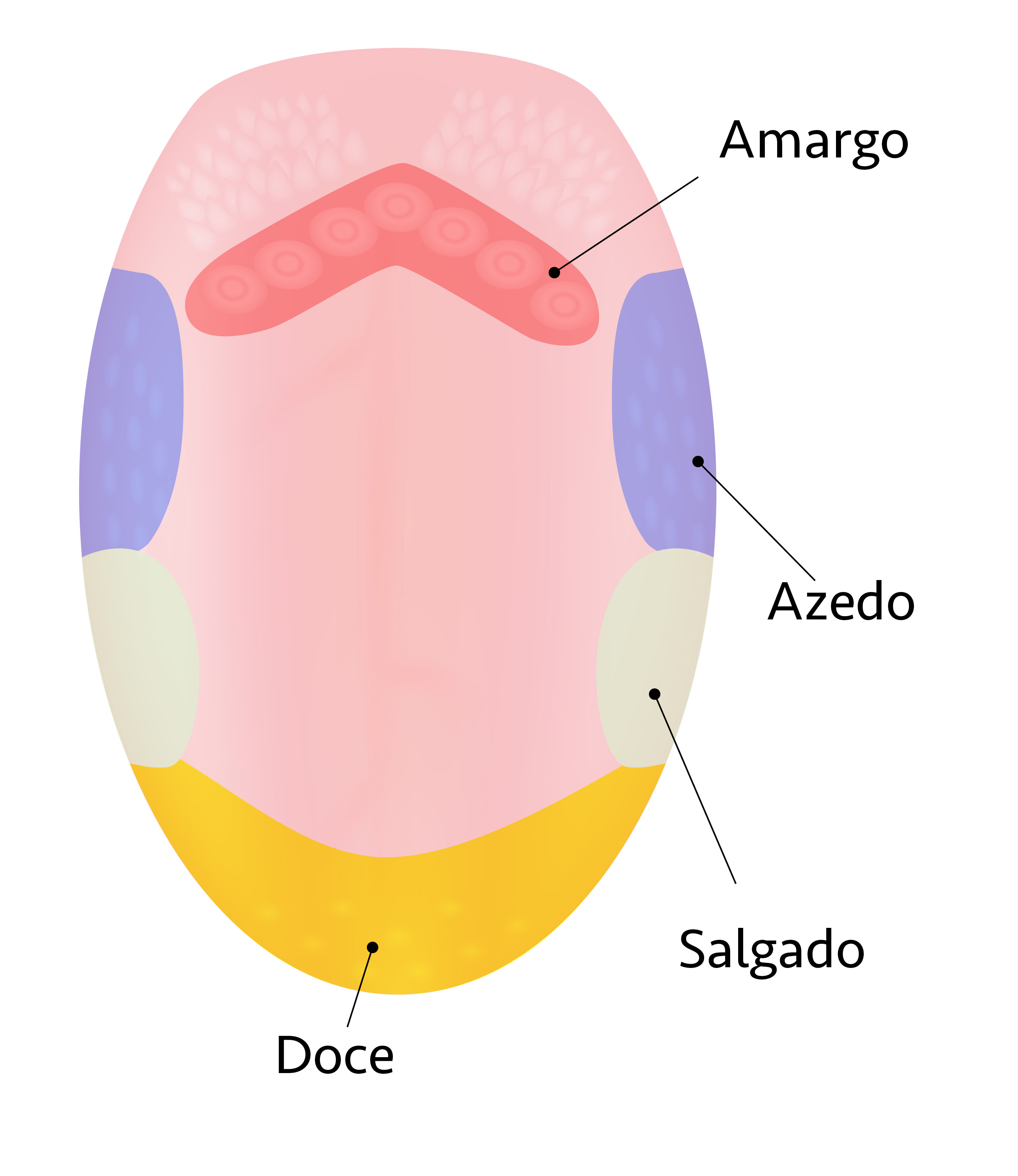 erros escolas
