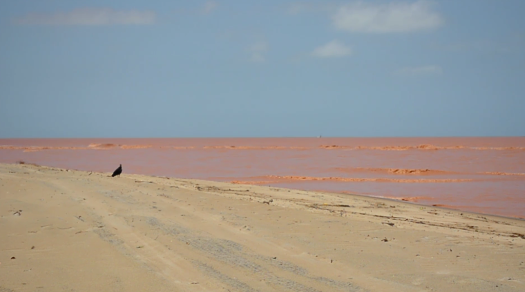 O prejuízo ambiental causado pelo rompimento da Barragem do Fundão #Tragédia do Rio Doce