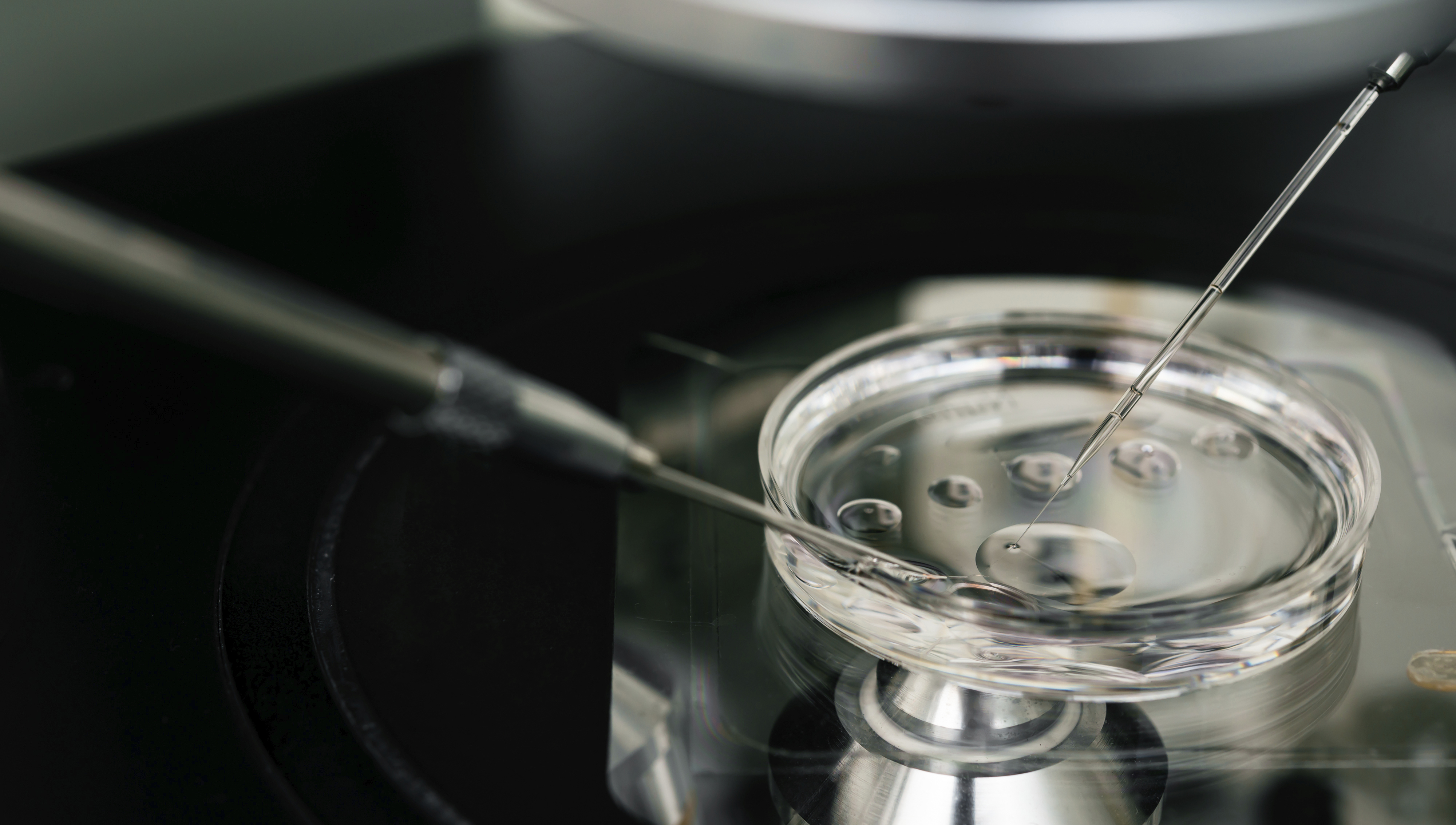 Novo microsc&oacute;pio do esperma