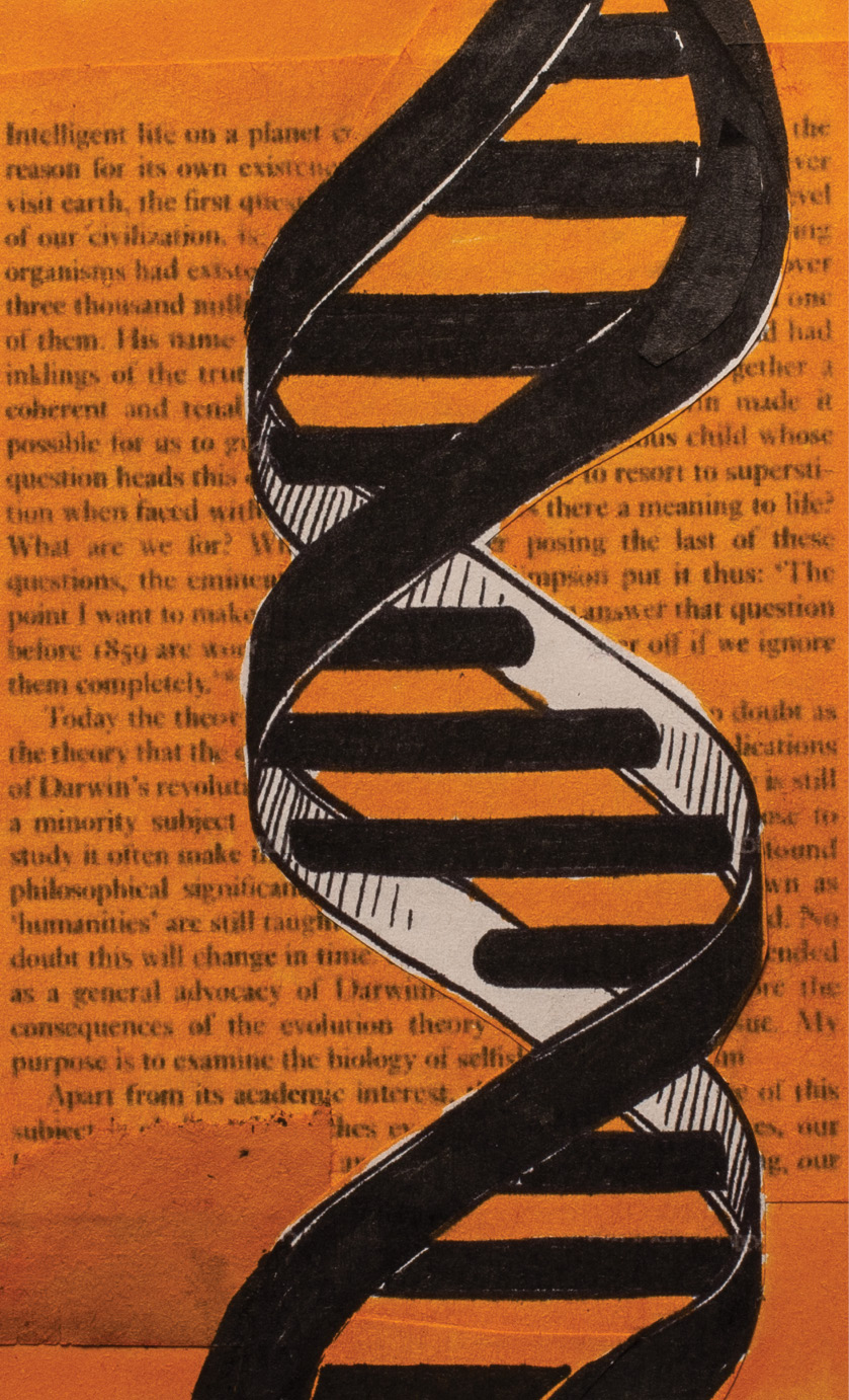 O Gene Ego&iacute;sta