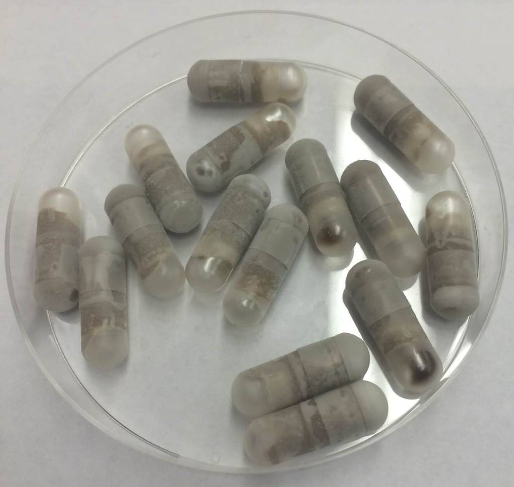 Pílulas com fezes congeladas Pílulas com fezes congeladas