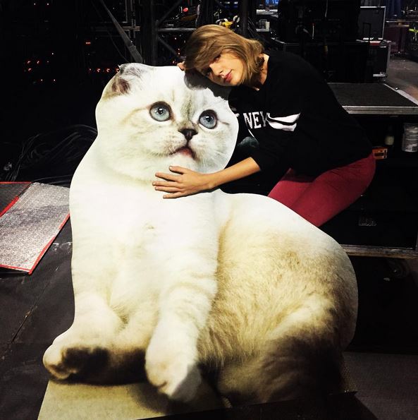 As 5 hashtags mais usadas no Instagram