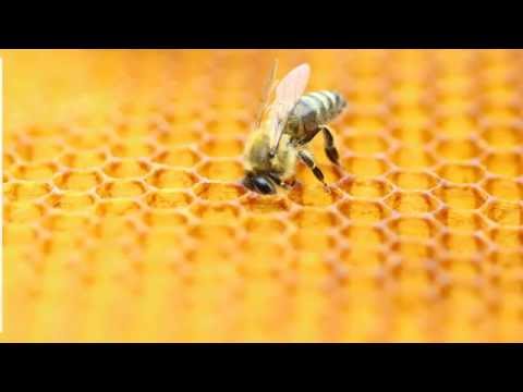 3 notícias de ciência que marcaram a semana – #Supernovas