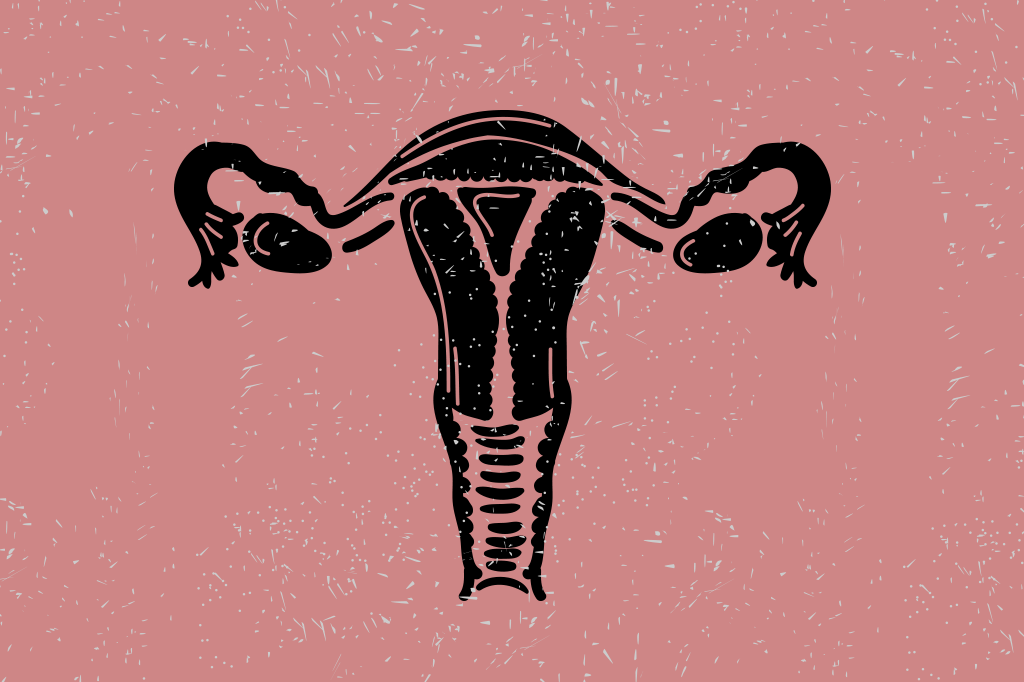 Para que serve o hímen?