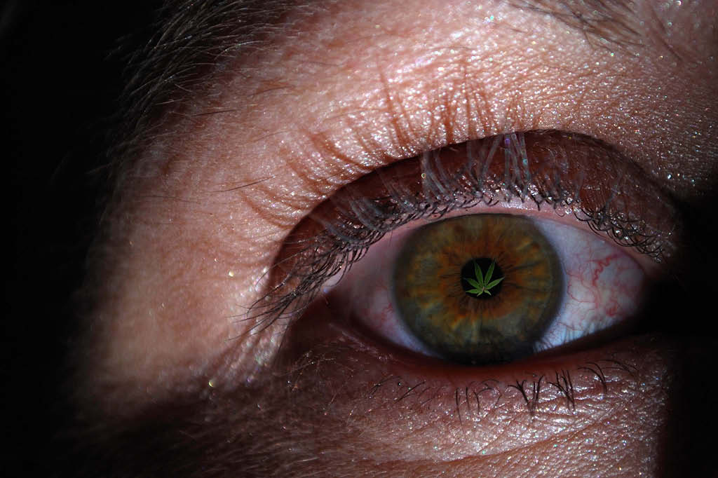 Maconha ajuda a enxergar no escuro