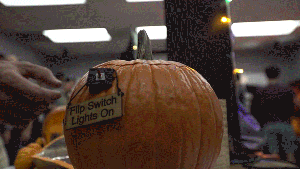 Festa das ab&oacute;boras