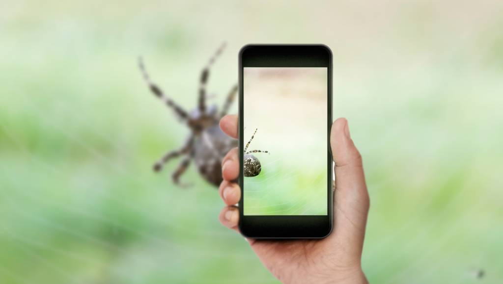 Cure a aracnofobia usando realidade virtual