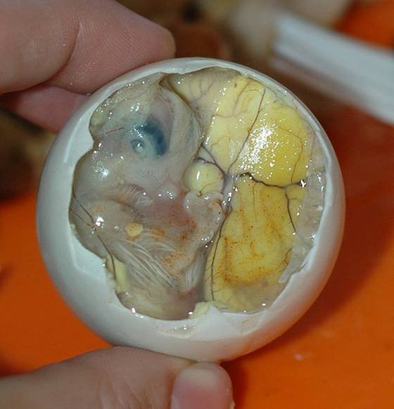 Filipinas: o ovo de pato fertilizado &eacute; comido na pr&oacute;pria casca. A iguaria &eacute; considerada deliciosa pelos filipinos, mas apenas os mais corajosos dos ocidentais conseguem encar&aacute;-la.