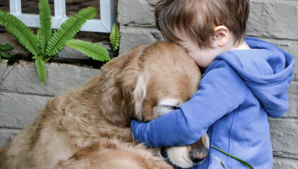 Seu coração bate em sincronia com o do seu cachorro