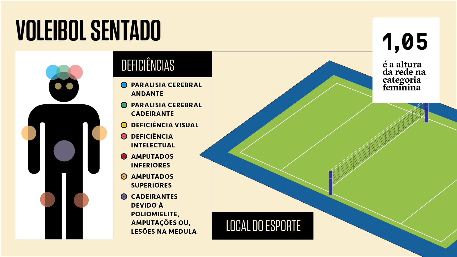 card voleibol sentado