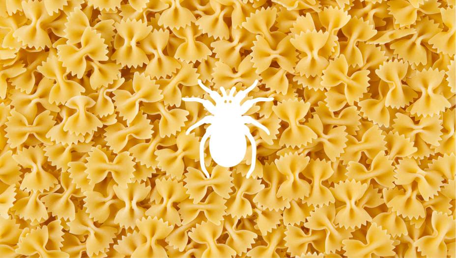 Massas e biscoitos Massas e biscoitos