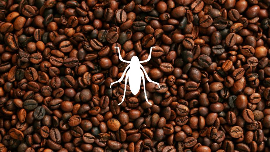 Café torrado e moído Café torrado e moído