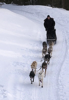 IDITAROD TRAIL SLED DOG RACE <BR> IDITAROD TRAIL SLED DOG RACE <BR>