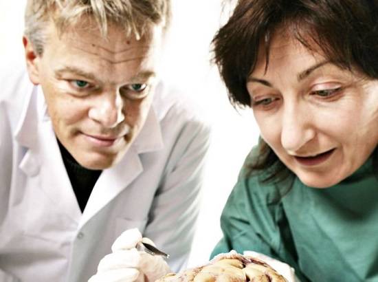 J&aacute; o Nobel de Medicina teve dois vencedores. Um deles foi o noruegu&ecirc;s Edvard I. Moser.