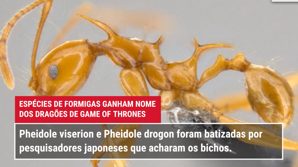 3 notícias de ciência que marcaram a semana – #Supernovas