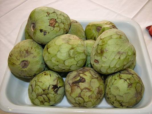 Esta &eacute; a chirimoya, uma fruta de origem andina, tem a casca verde e &aacute;spera, polpa branca e sabor que mistura o &aacute;cido e o doce.