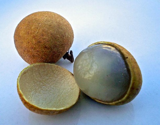 Também conhecida como Olho do Dragão, essa fruta asiática chamada longan é semelhante à lichia. Mas menor. Também conhecida como Olho do Dragão, essa fruta asiática chamada longan é semelhante à lichia. Mas menor.