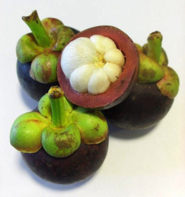 Dizem que este fruta da Malásia era muito apreciada pela Rainha Vitória. O mangostim tem uma polpa branca de aroma suave e adocicado. Dizem que este fruta da Malásia era muito apreciada pela Rainha Vitória. O mangostim tem uma polpa branca de aroma suave e adocicado.