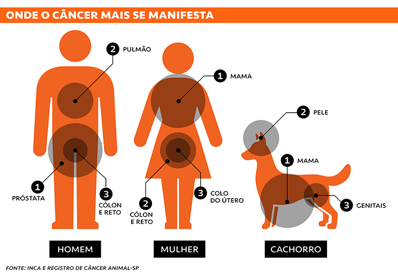 Incid&ecirc;ncia c&acirc;ncer