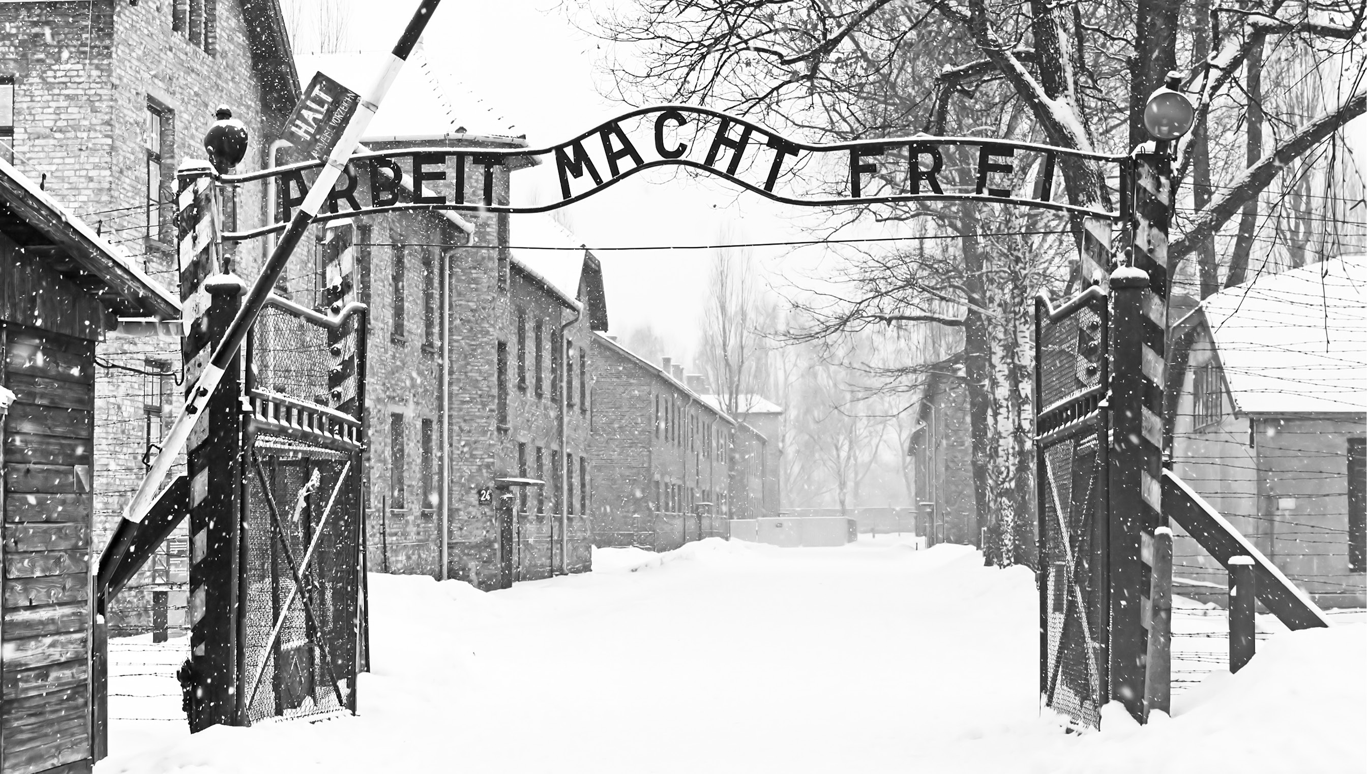 Industria morte nazismo