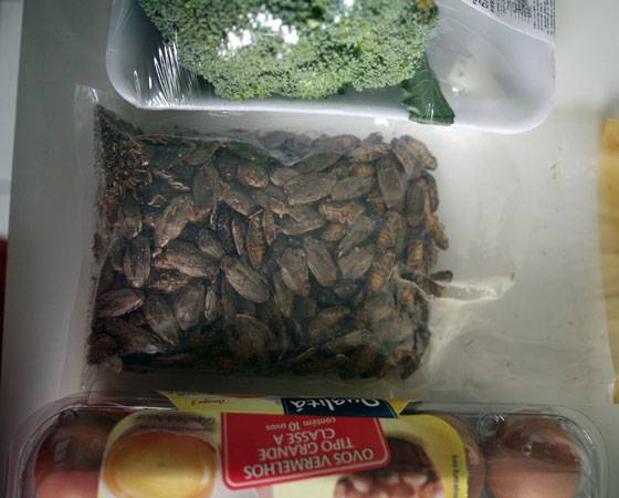 Schickler trabalha na Nutrinsecta, que forneceu os bichos mostrados nestas imagens. Com planos de produzir insetos para consumo humano, a empresa de Minas Gerais foi a primeira do Brasil a consultar o Minist&eacute;rio da Agricultura sobre o assunto. Agora, planejam abrir um restaurante na regi&atilde;o para divulgar a iguaria.