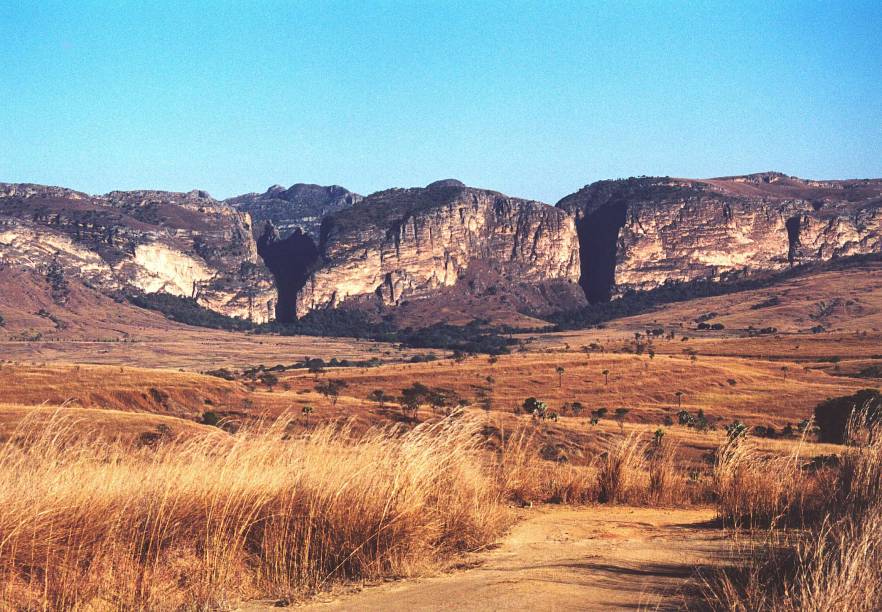 Casa dos lêmures e de outras diversas espécies que só se desenvolveram ali, Madagascar sempre foi um exemplo de biodiversidade. No entanto, estima-se que apenas 10% do ecossistema original da ilha ainda exista, devido à caça, à extração de madeira, à mineração e à agricultura.