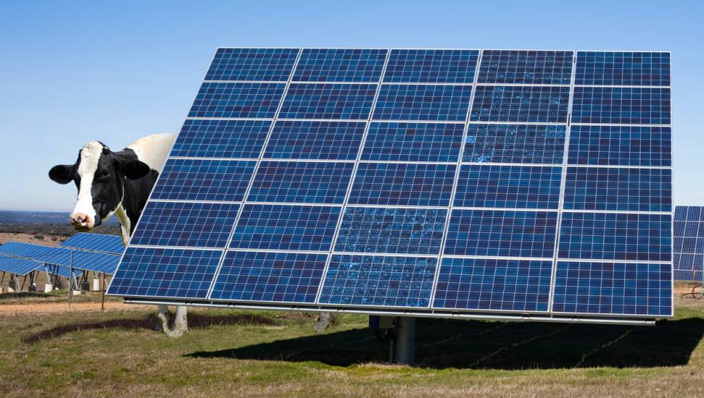 Na Índia, energia solar já tem o mesmo preço que o carvão