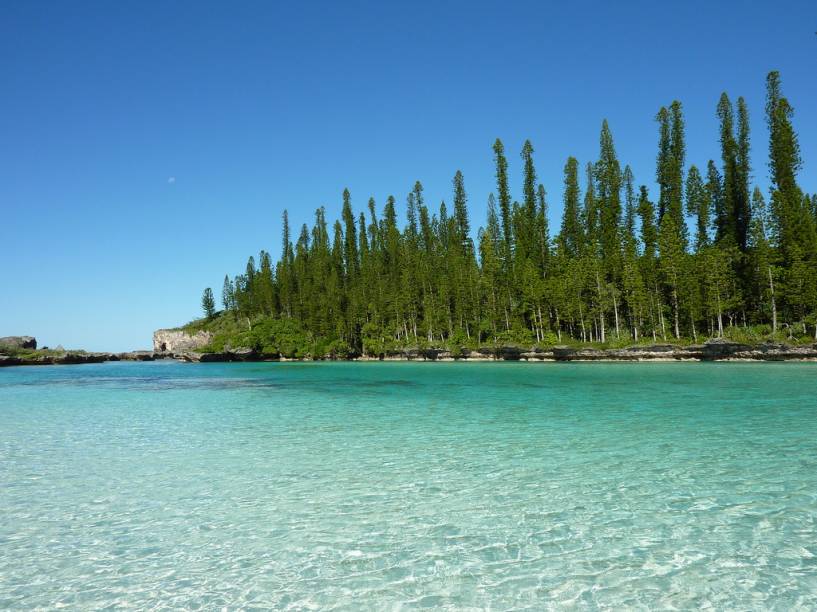 A nova Caledônia, conjunto de ilhas no oceano Pacífico, possui muitas florestas tropicais ameaçadas pela mineração, principal atividade econômica da região: a venda de níquel corresponde a quase 100% da exportação. Também abriga uma simpática ave que corre sério risco de extinção, o Kagu.