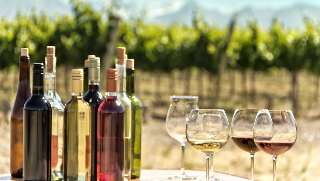 O vocabulário do vinho