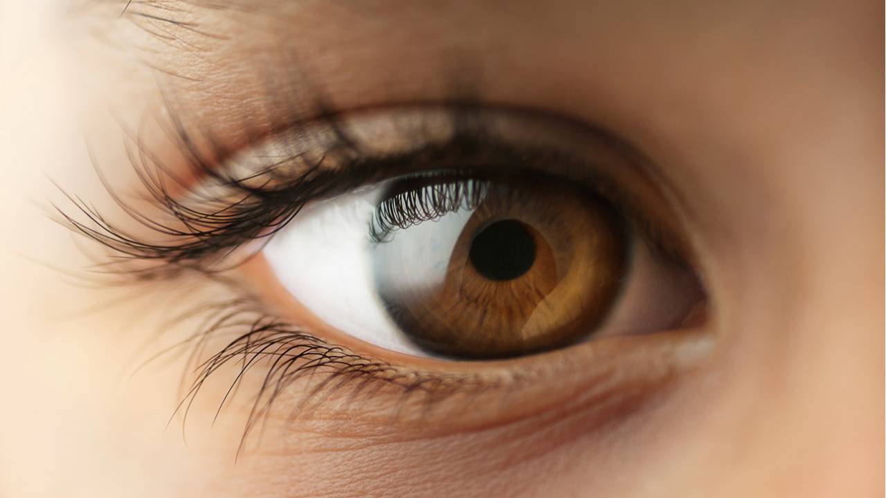 Altin Osmanaj | iStock