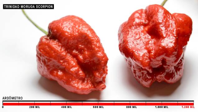 1. Trinidad Moruga Scorpion - + de 1,2 milhão SHU<br /> 1. Trinidad Moruga Scorpion - + de 1,2 milhão SHU<br />