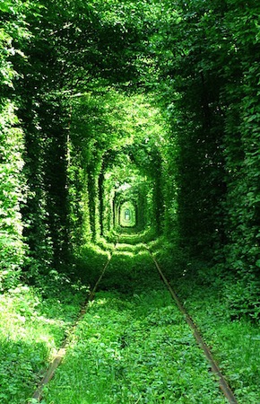 Túnel do Amor, Kleven, Ucrânia.