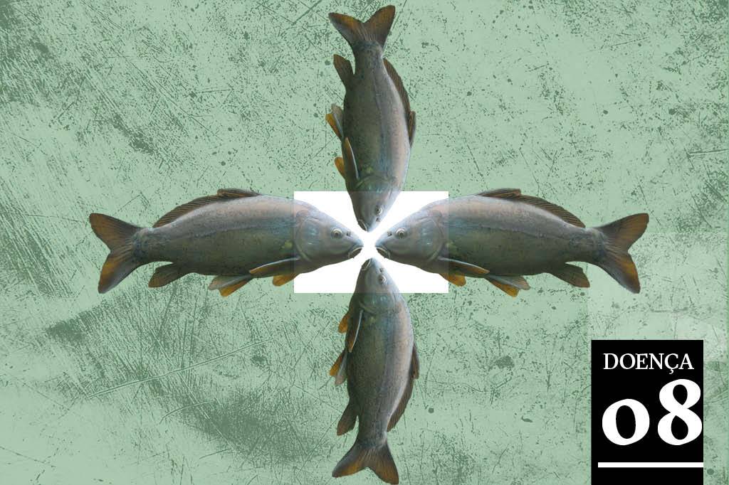 As pessoas que têm cheiro de peixe
